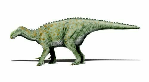 An artist's rendering of Iguanodon, by Nobu Tamura http://paleoexhibit.blogspot.com